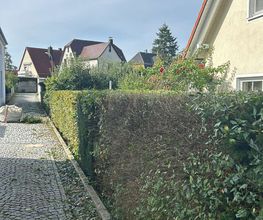 Gartenservice Mark Miess Bild 3