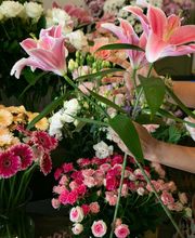 Les Fleurs de Cuers image 7