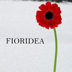 Fioridea logo