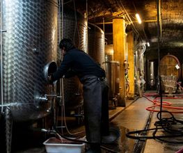 Weingut Wolf Bild 2