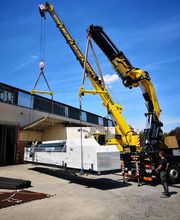 Mordefroy Levage image 3