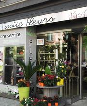 Exotic Fleurs image 6