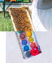 Verein Volkshochschule für die Stadt und Region Bern Bild 8