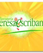 276016-floristeria-teresa-escribano-logo.png