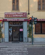 Gallery Professionale