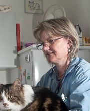 Kleintierpraxis Lindengarten Bild 2