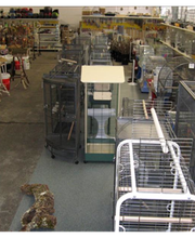 ZOO PHOENIX Silvia Gust Bild 5