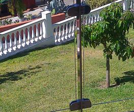 foto0065-0.jpg