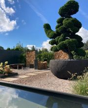 Widler Gartenbau + Floristik AG Bild 4