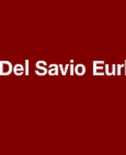 DEL SAVIO image 1