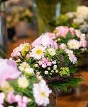 Waffenschmidt AG Bild 4