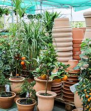 Gallery Professionale