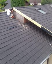 Satory François image 2