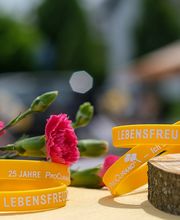 ProCurand Pflegestift Pfarrer Lukas Bild 5