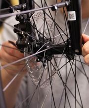 New Bike Store Sàrl Bild 5