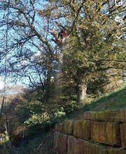 Entreprise Kennel image 5