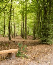 FriedWald Oberkrämer Bild 10