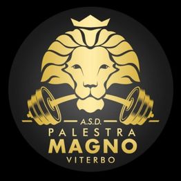 Palestra Magno logo