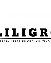 Liligrow imagen 1