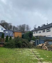 Baumdienst Behan Bild 3