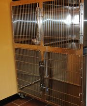 Veterinary Clinic of Pearland image 8