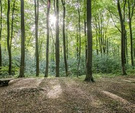 FriedWald Grevesmühlen Bild 9