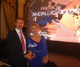 Inmobiliaria Sevilla 2000 Real Estate imagen 5
