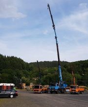 DIB Densborner Industriebau GmbH Zimmerei Bild 7