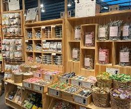 Søstrene Grene billede 12