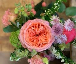 Les Fleuridées Bild 6