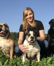 Alpepfötli GmbH Bild 2