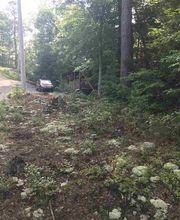 Prime Mountain Properties: Virginia Almy image 1