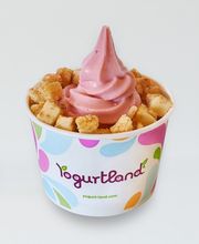 Yogurtland Corona Hills image 19