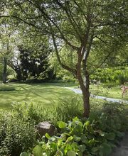 Privatklinik Wyss AG Bild 14