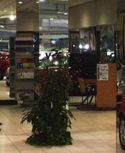 Ford Mintegui imagen 15