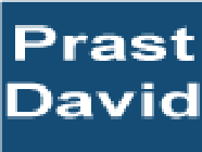 Prast David EURL