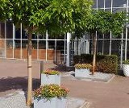 Intratuin Zwolle afbeelding 13