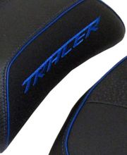 Sellerie Vigneulle image 20