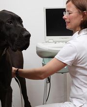 Dr. Uwe Jaspers, Kleintierpraxis Bild 6