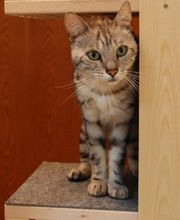 Tierarztpraxis Berchtold