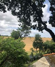 SAM EN CIMES image 11