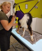 Dianas Hundesalon Bild 1
