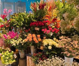 Aux Arcades fleurs Bild 5