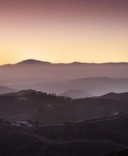 Sedella vinos SL imagen 7