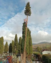 Lopez Dominique le Grimpereau image 6