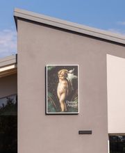 Gallery Professionale