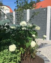 Garten Bronder Bild 3