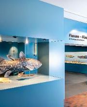 Naturhistorisches Museum Bern Bild 19