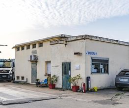 SEGF image 20