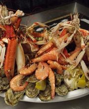 Armor Pesked image 8